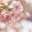 (주)다조에프앤에스 네이버블로그
