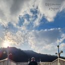 원주시 관광안내소 | 간현관광지 원주 소금산 소금빵 간현제빵소 비교 후기