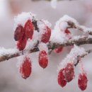 구례사람들 이미지