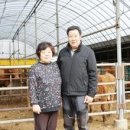 두리 한우 농장 네이버블로그