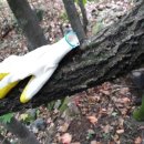 탑골농장 이미지