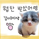 살롱유월 이미지
