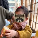 망월로 | [망월사] 호원동 아기랑 가기 좋은 <나크타 카페> 방문 후기