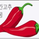 빨간고추 이미지