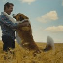 베일리 베일리 이미지