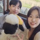 부온샵