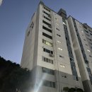 비봉호스릴-8 | [경매] 1억대 아파트가 5천만원에?? (feat. 동림동 삼호가든아파트)