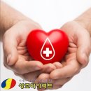 더다이렉트