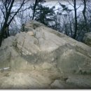 여우쉼터 이미지