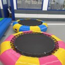 음성태권도장 이미지