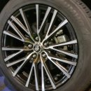 타이어클럽 이미지