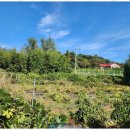 원스톱공인중개사사무소 이미지