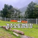 산내956 이미지