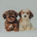 상남동246 이미지