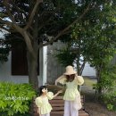 블랑블랑 이미지