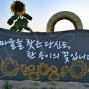 세븐일레븐 파주대능리점 네이버블로그