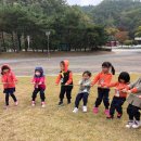 가흥초교 병설유치원 이미지