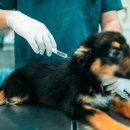 동행동물병원 이미지