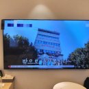 하운드호텔 티스토리