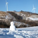 삼양목장 이미지