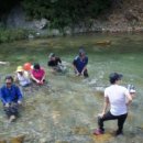 펜션화수목 이미지