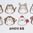 디자인촉 이미지