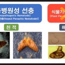 디디케이 이미지