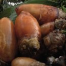 웰빙수산물 이미지