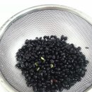 달봉농원 이미지