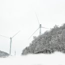 행복한목장 이미지