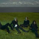 광포전자 이미지