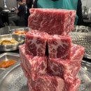 베테랑참숯고기집 | 명동 고기집 우대포 참숯구이 깍뚝꽃살 후기