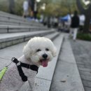 하이바이 동물위탁센터 대구점 이미지