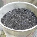 우주카클리닉 이미지