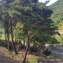 비학산자연휴양림 이미지