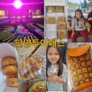 단양 투어패스 여행 가성비 단양샌드 스카이워크 전망대 온달관광지 흙마늘빵 추천경로