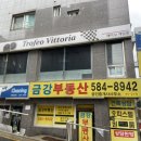 트로페오비토리아 이미지