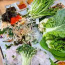 [서울/송파] 송파나루역 노포 횟집 구룡포막회 (나는 글쎄,,)