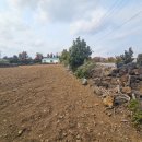 안성리-3 이미지