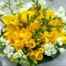 행복웃음힐링교실 이미지