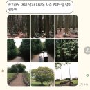 제주기억 | W5. 제주 웨딩스냅, 토요기억스냅과 함께한 촬영후기