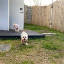 도기도기펜션 이미지