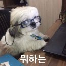 더제일떡집