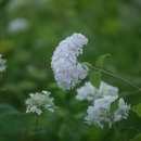 부천시청역 2번출구 이미지