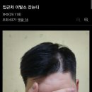 디씨헤어 네이버블로그