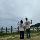 하이포항B 이미지