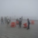 하동 플라이웨이 케이블카 이미지