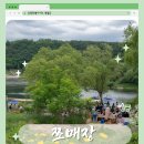 촌스럽고 무해한 시골 라이프 마켓, 쪼매장 후기