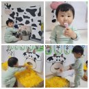 모두의배움숲(씨앗반) 네이버블로그