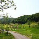 골프클럽  Q 이미지